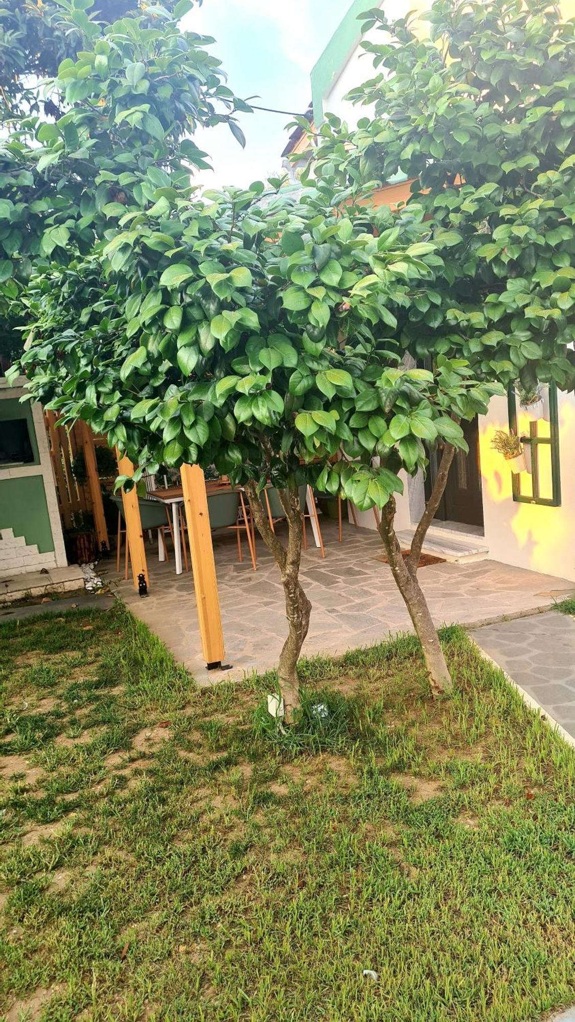 Lamprini'S Deluxe Studios Limenas  Exterior foto
